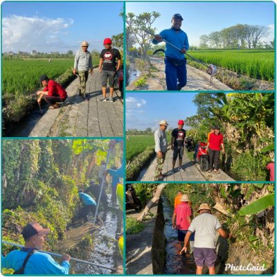 Photogrid 1693727519234