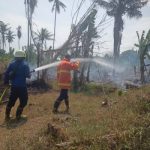 Ket poto: Petugas kebakaran saat memadamkan api di kebun milik warga