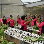 Img 20231031 Wa0167 Img 20231031 Wa0167