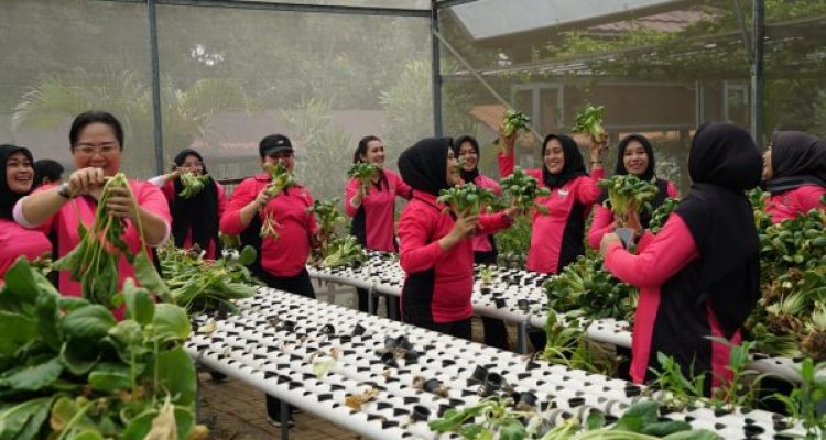 Img 20231031 Wa0167 Img 20231031 Wa0167