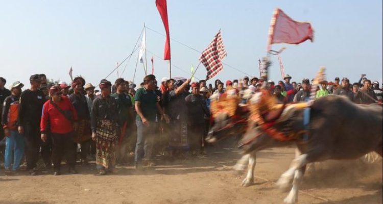 Ket poto: Bupati I Nengah Tamba lepas Lomba Mekepung Jembrana Cup 2023 di Sirkuit All In One