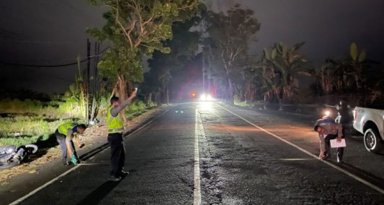 Ket poto: petugas kepolisian melakukan olah TKP setelah kecelakaan maud di Jalan Raya Jurusan Denpasar-Gilimanuk KM 78-79 Banjar Tegak Gede Desa Yehembang Kangin Kecamatan Mendoyo Kabupaten Jembrana