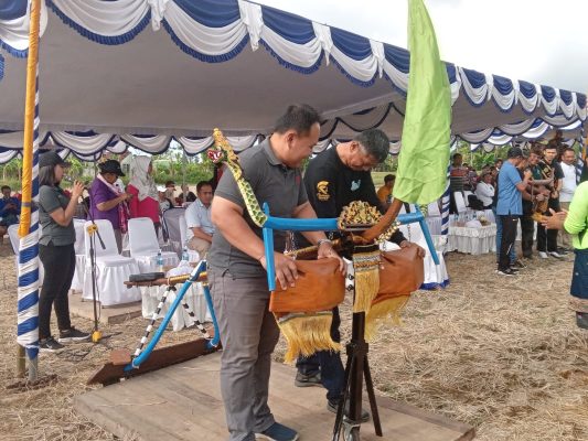 927c33a5 A6ff 427e Ba98 55a7a4f45615