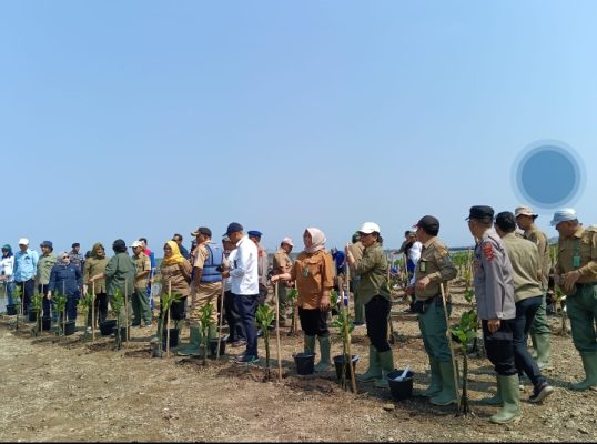 Screenshot 20231107 115543