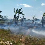 Ket poto: lahan di Banjar Petanahan terbakar
