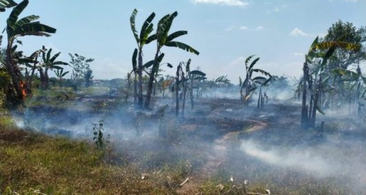 Ket poto: lahan di Banjar Petanahan terbakar