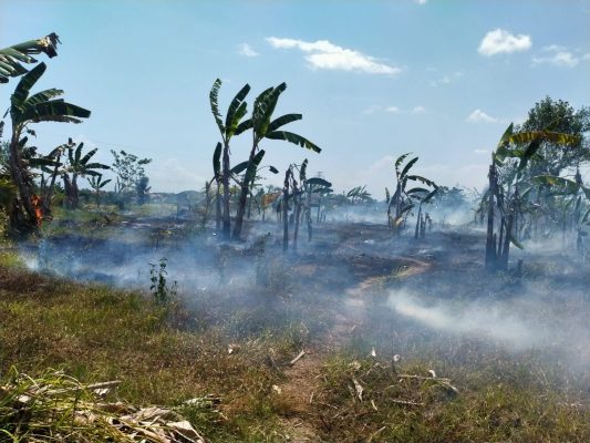 Ket poto: lahan di Banjar Petanahan terbakar