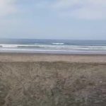 ket poto: Lokasi hiu paus yang terdampar dan diselamatkan warga setempat kembali ke laut