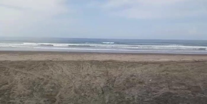 ket poto: Lokasi hiu paus yang terdampar dan diselamatkan warga setempat kembali ke laut