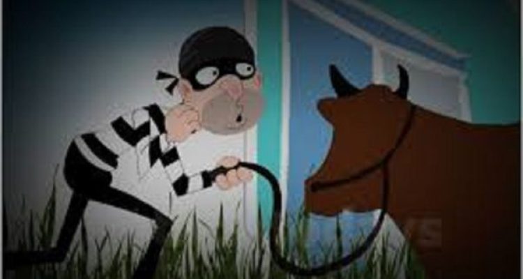 Ilustrasi (Ist) Ilustrasi (Ist)