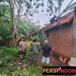 Img 20231227 115357 Img 20231227 115357