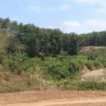 Ket poto: lokasi peleyakan batu pertama Tol Jagat Kerthi Bali Gilimanuk-Mengwi terkesan mangrak