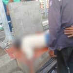 Ket poto: Pedagang asongan yang meninggal dunia di Pelabuhan Gilimanuk dievakuasi petugas Ket poto: Pedagang asongan yang meninggal dunia di Pelabuhan Gilimanuk dievakuasi petugas