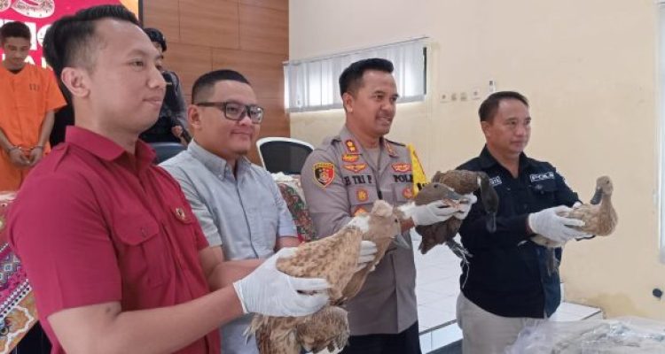 Ket poto: Kapolres Jembrana AKBP Endang Tri Purwanto ungkap kasus pencurian ternak