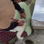 Ket poto: Petugas Keswan Kesmavet Jembrana melakukan vaksinasi rabies kepada disalah satu wilayah di Jembrana