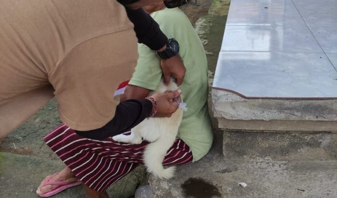 Ket poto: Petugas Keswan Kesmavet Jembrana melakukan vaksinasi rabies kepada disalah satu wilayah di Jembrana