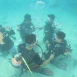 Img 20240309 Wa0053