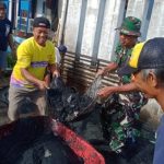 Img 20240301 121441 Img 20240301 121441