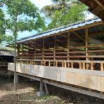 Ket poto: salah satu kandang ternak kambing di Kecamatan Negara Ket poto: salah satu kandang ternak kambing di Kecamatan Negara