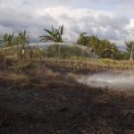 Ket poto: salah satu lahan yang terbakar di salah satu wilayah di Jembrana Ket poto: salah satu lahan yang terbakar di salah satu wilayah di Jembrana