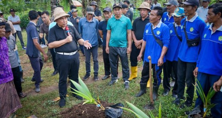 Dok Humas Jembrana Dok Humas Jembrana
