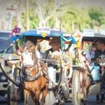 Ket poto: Bupati Jembrana bersama sekda Jembrana dan beberapa pimpinan OPD, naik dokar dari Puri Negara menuju depan kantor Bupati Jembrana
