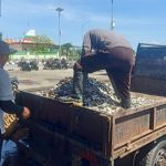 Ket poto: Nelayan Pengambengan angkut ikan yang tidak laku dijual Ket poto: Nelayan Pengambengan angkut ikan yang tidak laku dijual