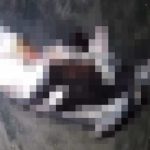 Ket poto: Kondisi lumba-lumba yang ditemukan terdampar di Pantai Pura Rambutsiwi