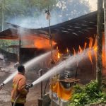 Ket poto: Damkar Jembrana memadamkan api di pabrik tedung Desa Yeh Sumbul Ket poto: Damkar Jembrana memadamkan api di pabrik tedung Desa Yeh Sumbul