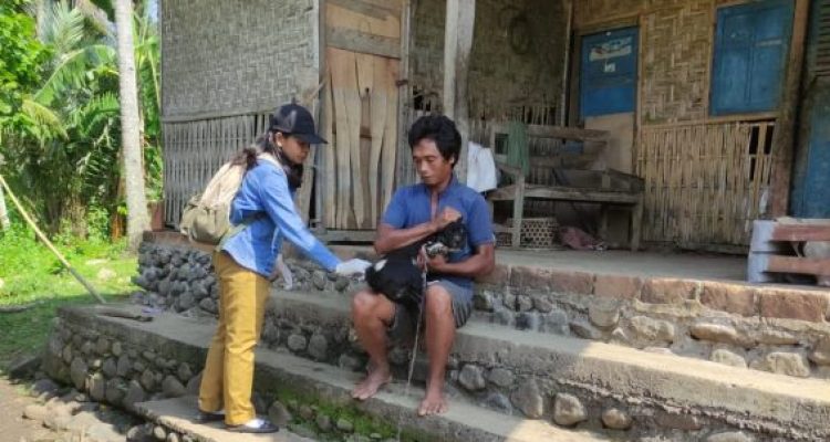 Ket poto: petugas Medikvet di Kecamatan Melaya melakukan vaksinasi rabies kepada hewan piaraan warga Ket poto: petugas Medikvet di Kecamatan Melaya melakukan vaksinasi rabies kepada hewan piaraan warga