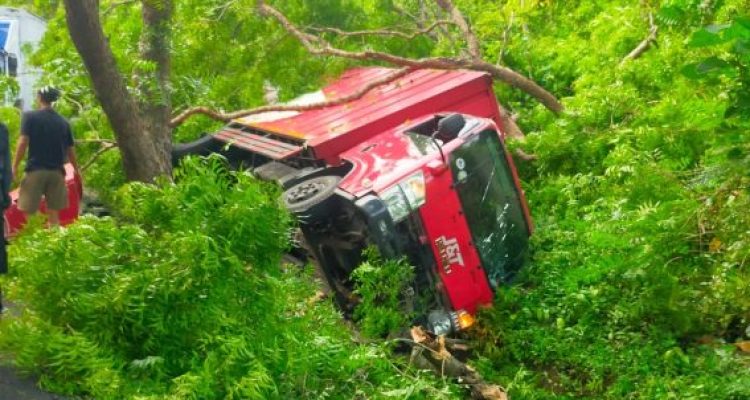 Ket poto: Kondisi truk setelah menabrak pohon di Gilimanuk