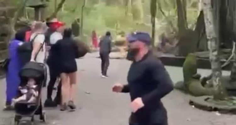 Ket poto: Saat kejadian pohon tumbang di Monkey Forest Ubud