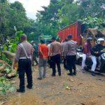 Ket poto: Evakuasi ohon tumbang di Gilimanuk