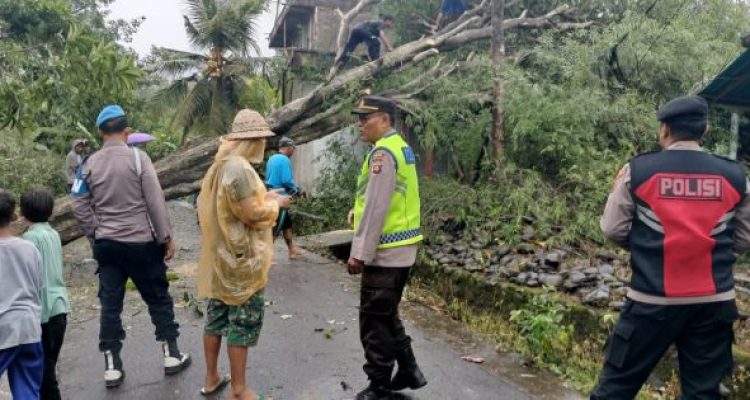 Ket poto: Salah satu rumah warga di Pekutatan tertimpa pohon tumbang Ket poto: Salah satu rumah warga di Pekutatan tertimpa pohon tumbang
