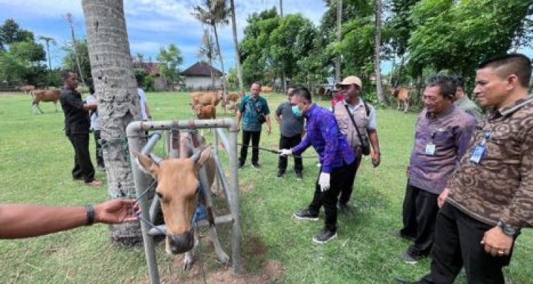 Dok Humas Jembrana Dok Humas Jembrana