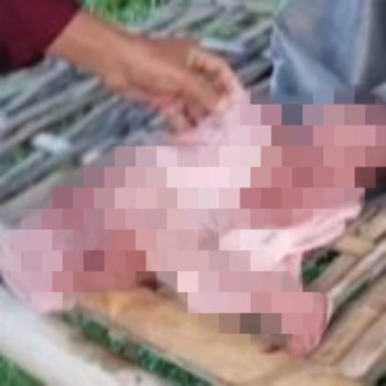 Ket Foto: Bayi baru lahir yang ditemukan warga depan kuburan Banjar Sribatu, Desa Penglumbaran, Kecamatan Susut, Bangli. Dok (*)