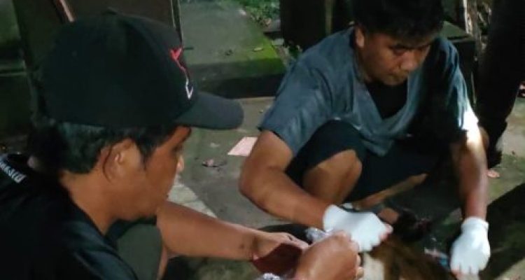 Ketpoto: Pengambilan sample untuk dibawa ke lab Denpasar