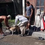 Ket poto: Petugas Keswan Kesmavet saat memvaksin anjing di salah satu rumah warga