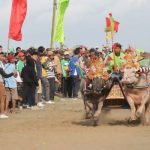 Ket poto: Tradisi Makepung Kabupaten Jembrana (Ist)