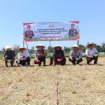 Ket Foto :Waka Polres Jember Kompol Ferry Dharmawan, S.Psi., S.I.K. Bersama Para pengansuh Ponpes Nuris Serta Beberapa Pihak terkait saat melakukan penanaman jagung.
