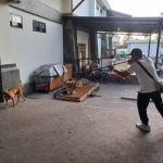 Ket poto: Petugas Vaksinasi saat memberi vaksin terhadap anjing liar