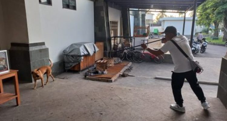 Ket poto: Petugas Vaksinasi saat memberi vaksin terhadap anjing liar