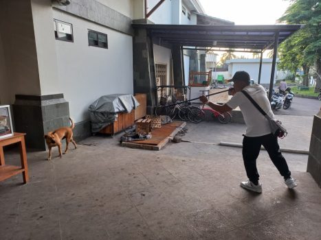 Ket poto: Petugas Vaksinasi saat memberi vaksin terhadap anjing liar