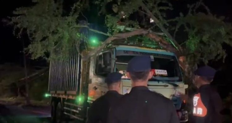 Ket poto: kondisi truk tertimpa pohon di Gilimanuk