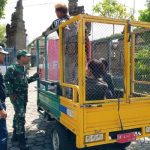 Ket poto: Keempat anak jalanan saat diamankan oleh tim Gabungan di Kelurahan Gilimanuk Ket poto: Keempat anak jalanan saat diamankan oleh tim Gabungan di Kelurahan Gilimanuk