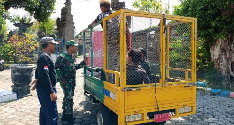 Ket poto: Keempat anak jalanan saat diamankan oleh tim Gabungan di Kelurahan Gilimanuk