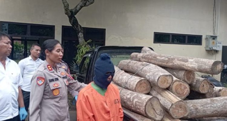 Ket poto: Kapolres Jembrana AKBP Kadek Citra Dewi Suparwati bersama Kasat Reskrim serta pelaku menunjukan barang bukti