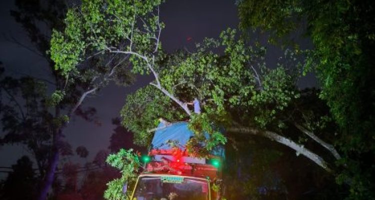 Ket Poto: Petugas BPBD Jembrana saat evakuasi pohon tumbang yang menimpa sebuah truk di Melaya