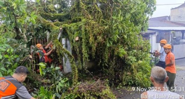 Ket poto: Petugas BPBD evakuasi pohon tumbang di rumah korban Ket poto: Petugas BPBD evakuasi pohon tumbang di rumah korban