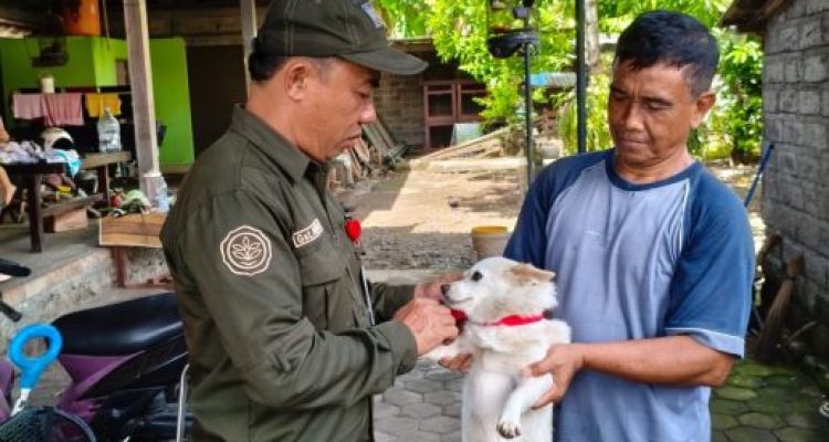 Ket poto: Vaksinasi rabies di salah satu rumah warga di Kabupaten Jembrana